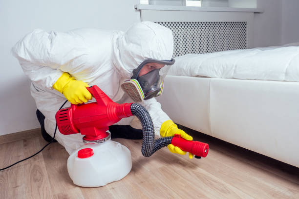 Best Fumigation Services  in Burnham, PA